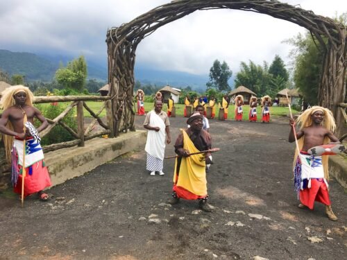 Discover the ultimate adventure with Gorilla Trekking Rwanda at Volcanoes National Park. Explore majestic mountain gorillas, thrilling hikes, and cultural experiences with Go Safaris Africa.