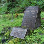Embark on a 4-day Rwanda trek with gorilla trekking in Volcanoes National Park and a Dian Fossey Hike