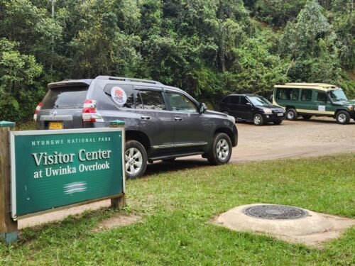 Track lowland gorillas and chimpanzees on a 7-day Rwanda to Congo safari with Go Safaris Africa.