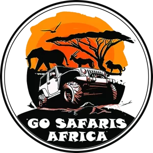 Go Safaris Africa is a premier safari company offering unforgettable wildlife experiences in the heart of Africa.