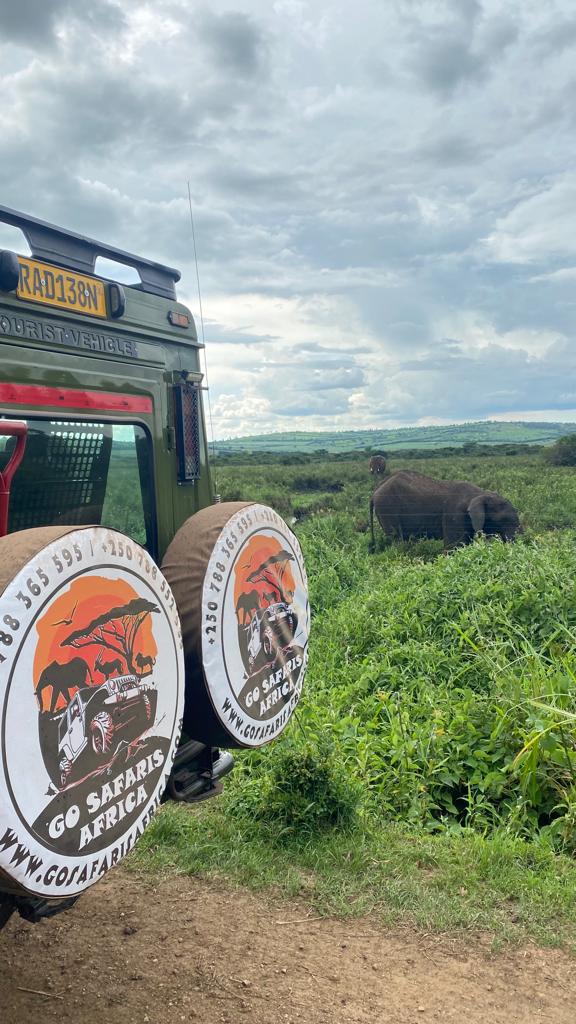 Discover unforgettable African safari adventures with Go Safaris Africa. Explore diverse wildlife, stunning landscapes, and luxurious accommodations. Plan your dream African safari today!