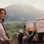 Complete guide to Dian Fossey Rwanda 2026 — her life story, Karisoke Research Centre, tomb hike, Dian Fossey Museum and how her work saved mountain gorillas. Go Safaris Africa.