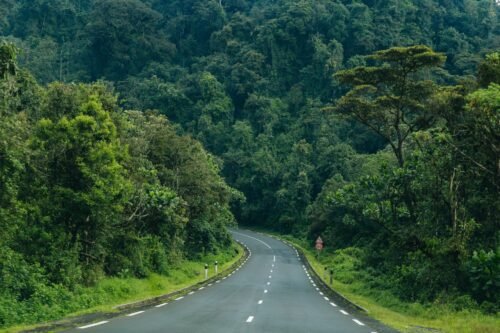 Experience the 3-day Cyinzobe Hike Trail with Go Safaris Africa, trekking through Nyungwe Forest’s waterfalls, wildlife, and scenic viewpoints.