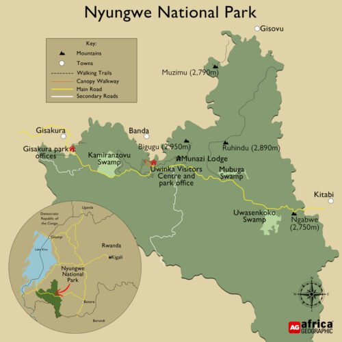 Experience the 3-day Cyinzobe Hike Trail with Go Safaris Africa, trekking through Nyungwe Forest’s waterfalls, wildlife, and scenic viewpoints.
