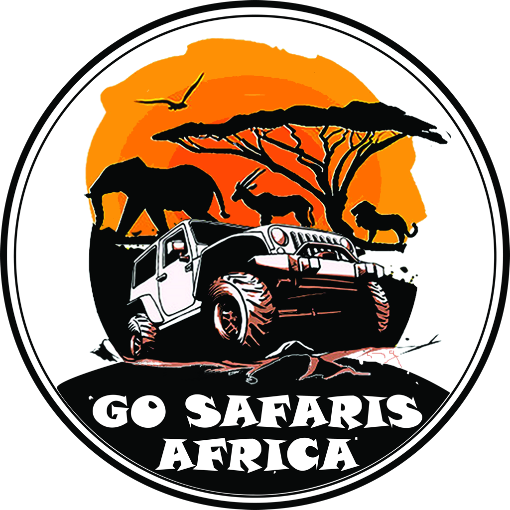 Go Safaris Africa offers unforgettable gorilla trekking safaris across Rwanda, Uganda, and Congo. Book your adventure today!