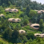 Complete guide to luxury safari Rwanda 2026 — the finest lodges, exclusive gorilla treks, private experiences, and tailor-made itineraries. Go Safaris Africa.