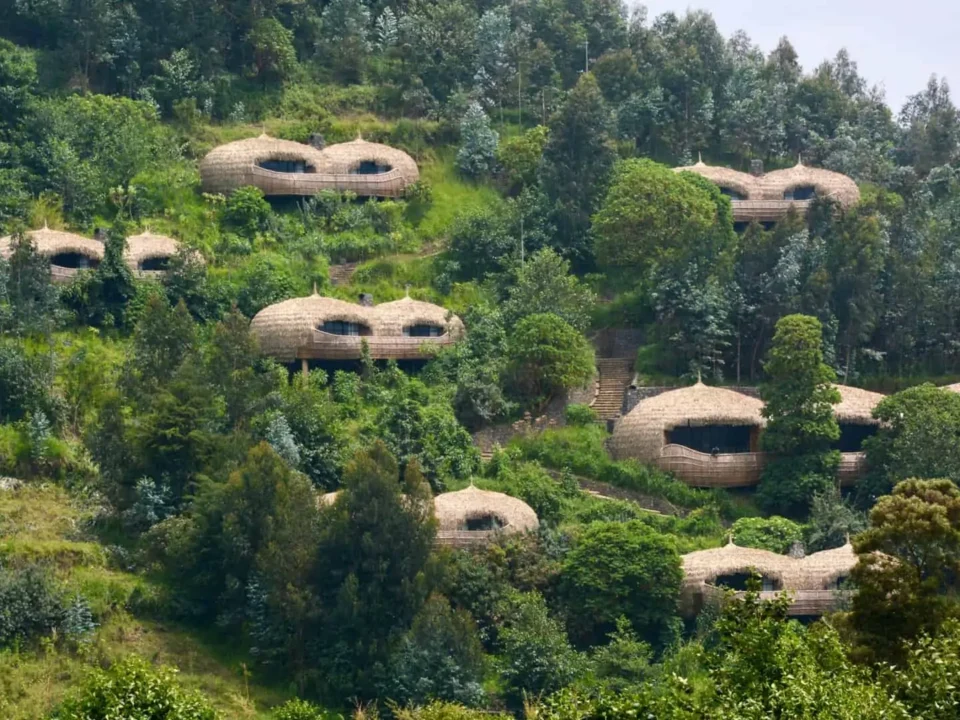 Complete guide to luxury safari Rwanda 2026 — the finest lodges, exclusive gorilla treks, private experiences, and tailor-made itineraries. Go Safaris Africa.