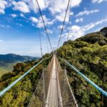 Complete guide to Nyungwe Forest National Park Rwanda 2026 — chimpanzees, canopy walkway, colobus monkeys, hiking, permits & lodges. Go Safaris Africa.