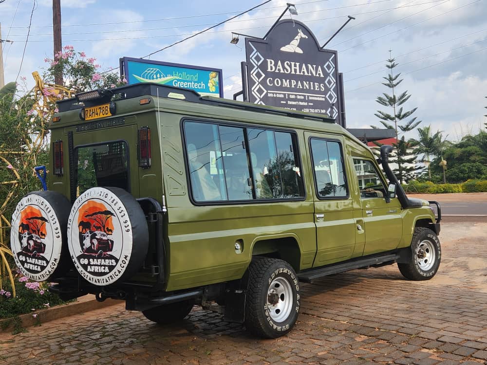 Go Safaris Africa — Kigali-based gorilla trekking and East Africa safari specialists. Expert-guided gorilla treks in Rwanda and Uganda, Big Five game drives, and tailor-made safari packages. Book your adventure today.