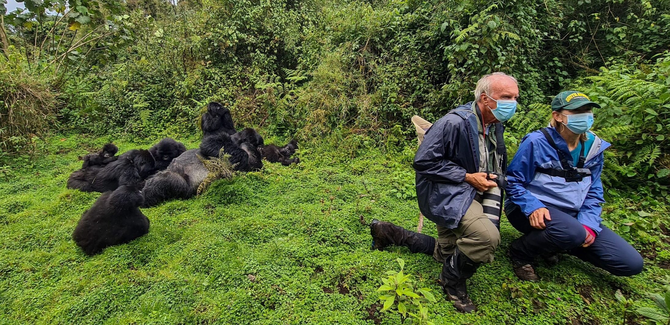 Go gorilla trekking in Uganda, Rwanda, or Congo. Book your mountain gorilla safari, get permit details, and experience the wild with Go Safaris Africa.