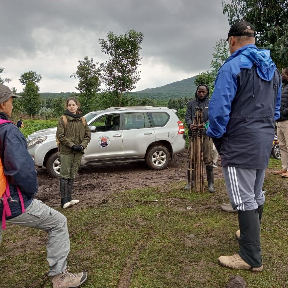 Follow the official Rwanda Gorilla Trekking Guideline with Go Safaris Africa. Discover how to trek safely in Volcanoes National Park. Book your Rwanda gorilla permit today!