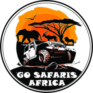 Go Safaris Africa – Your Trusted Partner for the Ultimate East African Safari