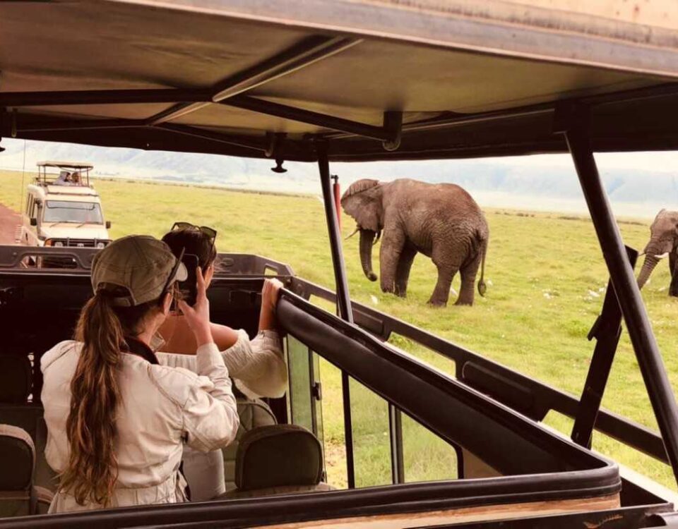 Complete guide to family safari Rwanda with teenagers 2026 — gorilla trekking, wildlife, activities, best lodges & itineraries for families. Go Safaris Africa.