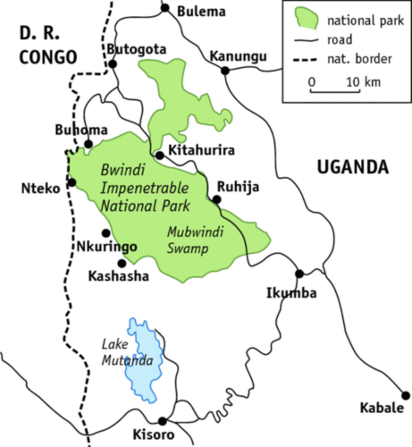 Everything you need to know about booking a Uganda gorilla permit in 2026 — cost, how to book, best sectors, cancellation policy, and tips. Expert guide by Go Safaris Africa.
