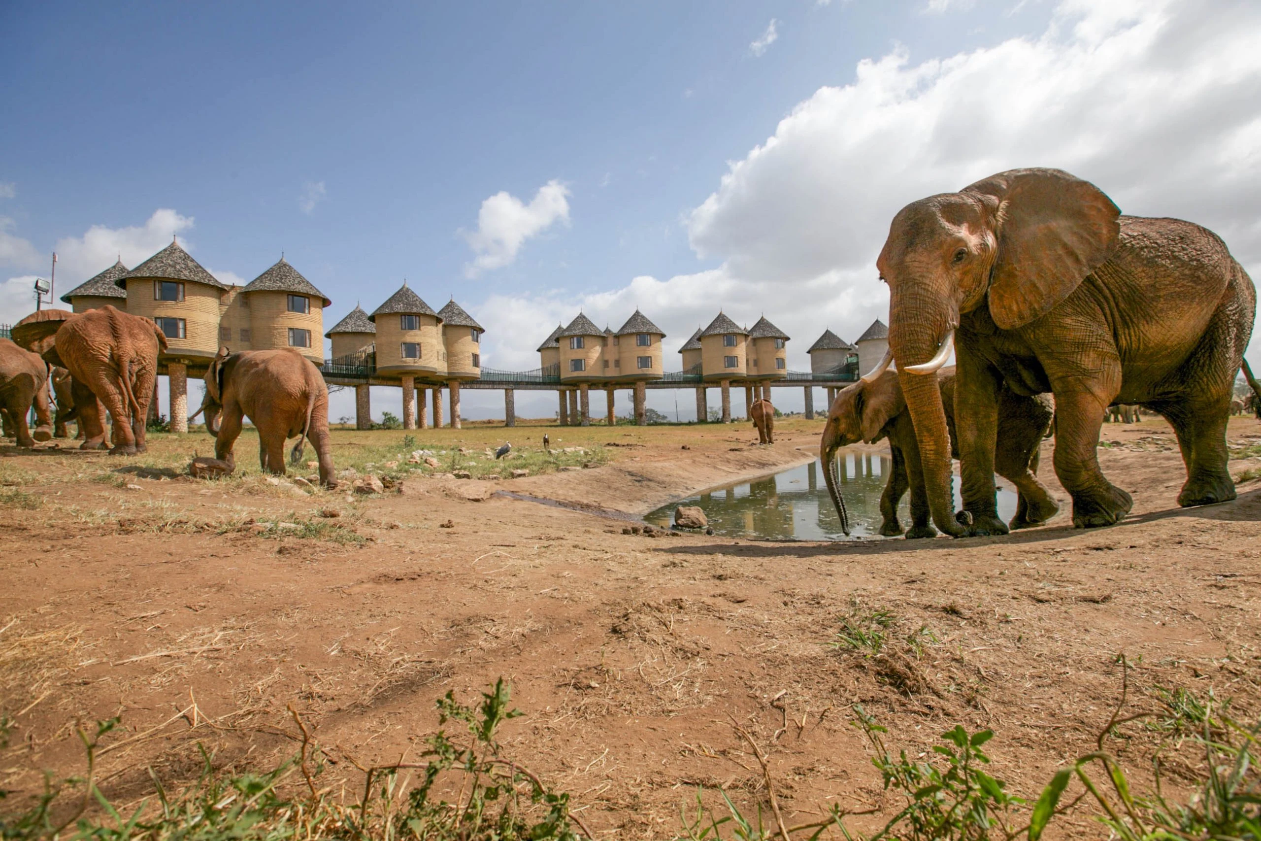 Kenya’s largest protected ecosystem, Tsavo is known for its red-dusted elephants, lava flows, and remote, wild landscapes