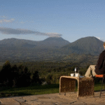 When is the best time to visit Rwanda for gorilla trekking? Complete month-by-month guide covering weather, permits, crowds and costs. Plan your trip with Go Safaris Africa.