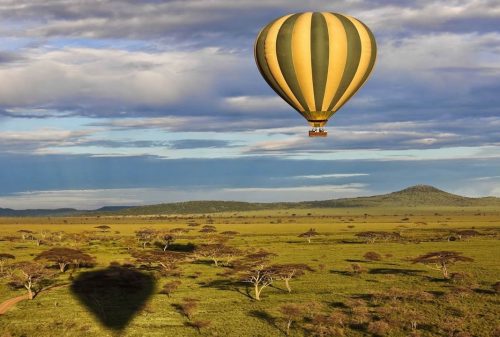 Serengeti National Park 2026 — Complete Visitor Guide | Go Safaris Africa