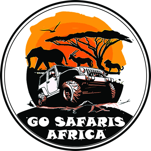 go safaris smaller