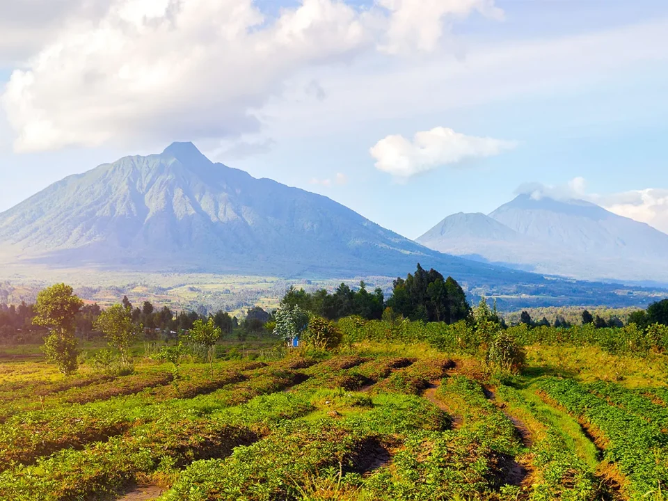 Perfect 7-day Rwanda safari itinerary 2026 — gorilla trekking, golden monkeys, Akagera National Park, Lake Kivu & Kigali. Day by day guide with costs. Go Safaris Africa.