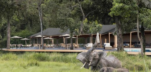 Complete guide to Maasai Mara National Reserve 2026 — Great Migration, best camps, game drives, when to go, conservancies and costs. Expert guide by Go Safaris Africa.