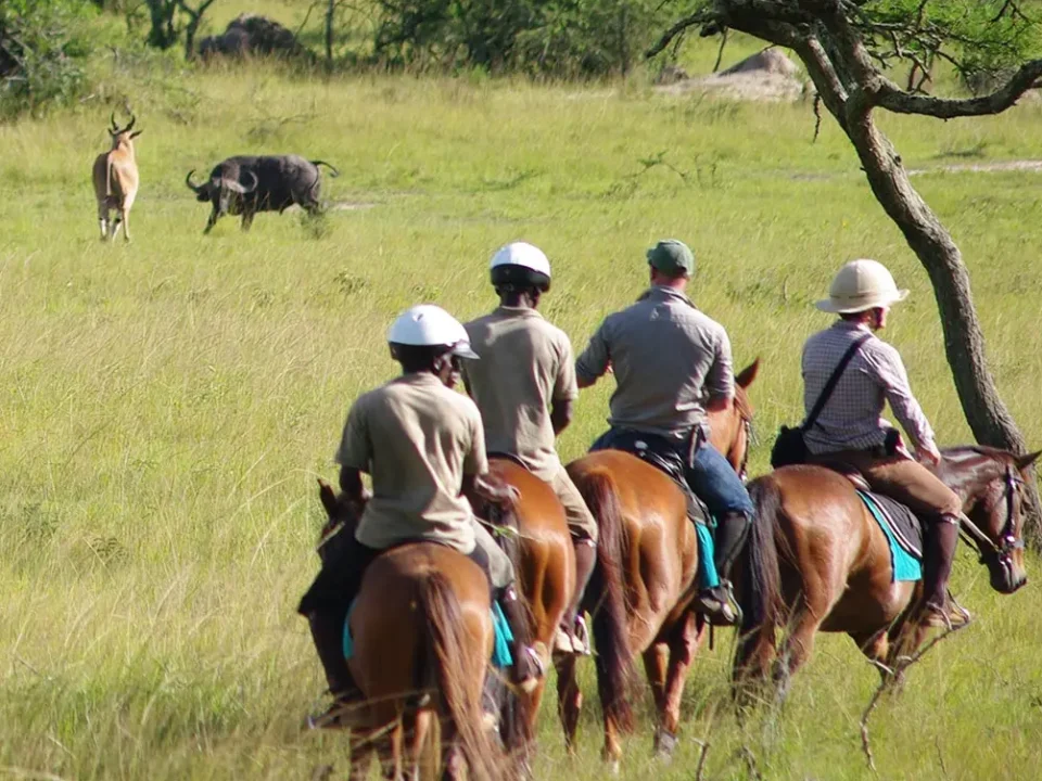 Complete guide to Lake Mburo National Park Uganda 2026 — zebras, impalas, hippos, boat safari, horse riding, game drives and how to get there. Go Safaris Africa.