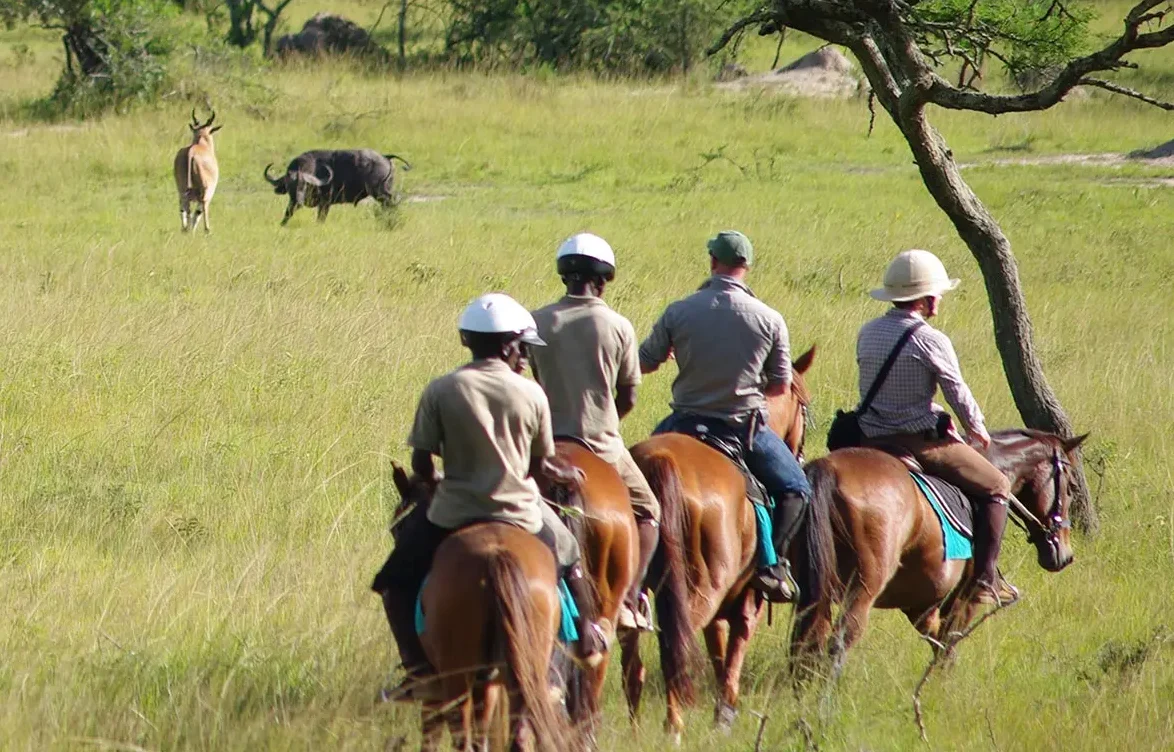 Complete guide to Lake Mburo National Park Uganda 2026 — zebras, impalas, hippos, boat safari, horse riding, game drives and how to get there. Go Safaris Africa.
