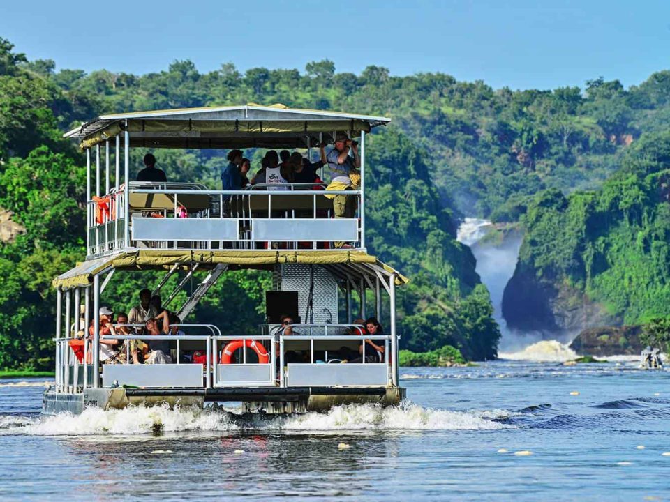 Complete guide to Murchison Falls National Park Uganda 2026 — the world's most powerful waterfall, game drives, Nile boat safari, giraffes, lions and best lodges. Go Safaris Africa.