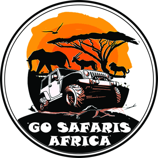 Complete guide to solo gorilla trekking Rwanda 2026 — permits, safety, costs, best lodges, meeting other travellers & solo itineraries. Go Safaris Africa.