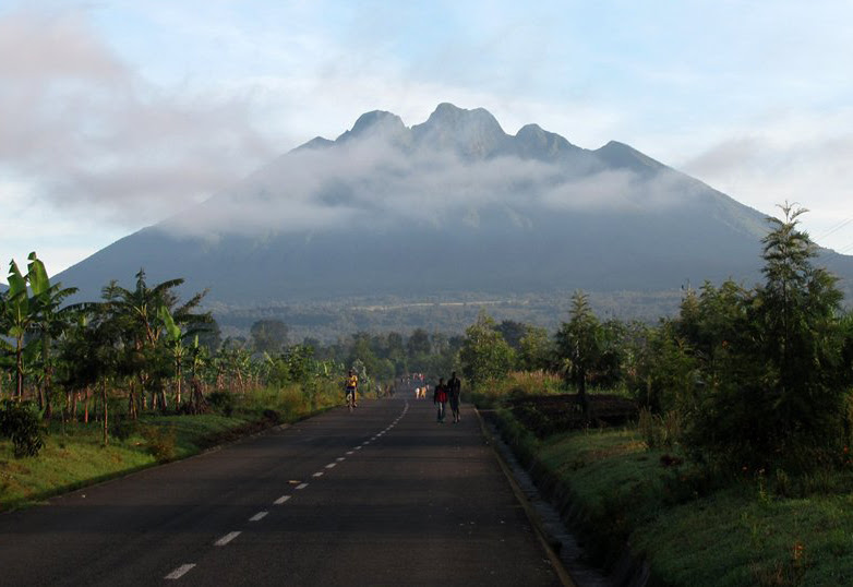 Complete guide to gorilla trekking from Kigali 2026 — distances, routes, logistics, permits, best lodges and insider tips from our Kigali-based team. Go Safaris Africa.