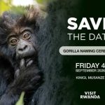 Kwita Izina 2026 takes place September 4 in Kinigi Rwanda — 22 baby mountain gorillas named at the 21st edition. Complete guide from Go Safaris Africa — Kigali's local experts.